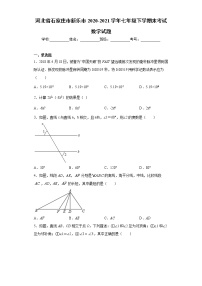 河北省石家庄市新乐市2020-2021学年七年级下学期末考试数学试题（word版 含答案）