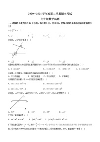 河北省石家庄市栾城区2020-2021学年七年级下学期期末数学试题（word版 含答案）