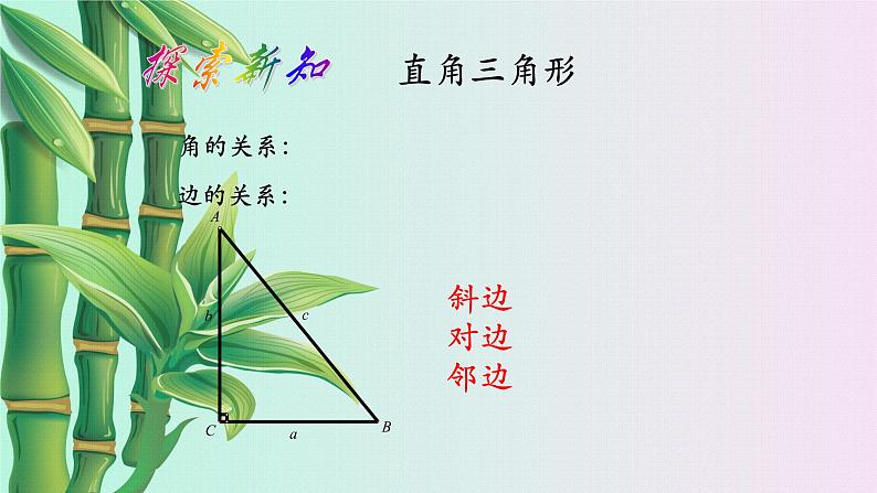 北京课改版九年级上册  解直角三角形《锐角三角函数》课件第2页