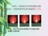 青島版九年級(jí)上冊(cè)數(shù)學(xué)  對(duì)圓的進(jìn)一步認(rèn)識(shí)《直線與圓的位置關(guān)系》課件
