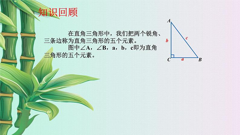 青岛版九年级上册数学  解直角三角形《解直角三角形》课件03