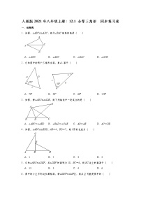 数学八年级上册12.1 全等三角形当堂达标检测题