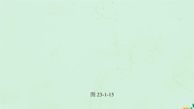 2021-2022学年人教版数学九年级上册23.1　图形的旋转课件PPT第8页