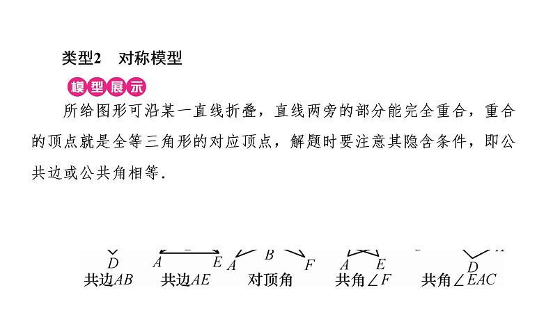 2021-2022学年人教版数学八年级上册同步课时训练12章小专题(五)　全等三角形的基本模型课件PPT06