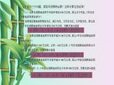 青岛版七年级上册 数学  有理数的运算《有理数的乘法与除法》课件