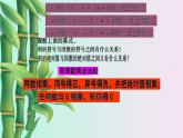 青島版七年級(jí)上冊(cè) 數(shù)學(xué)  有理數(shù)的運(yùn)算《有理數(shù)的乘法與除法》課件