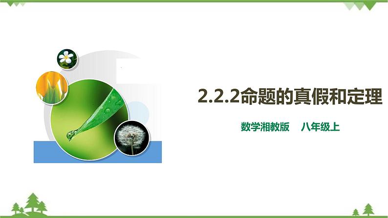 2.2.2命题的真假和定理-课件第1页