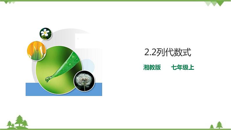 2.2列代数式 课件第1页