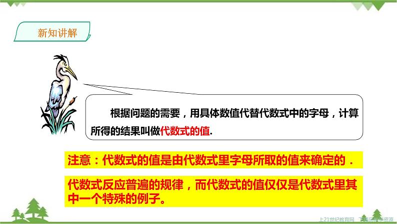 2.3代数式的值第5页