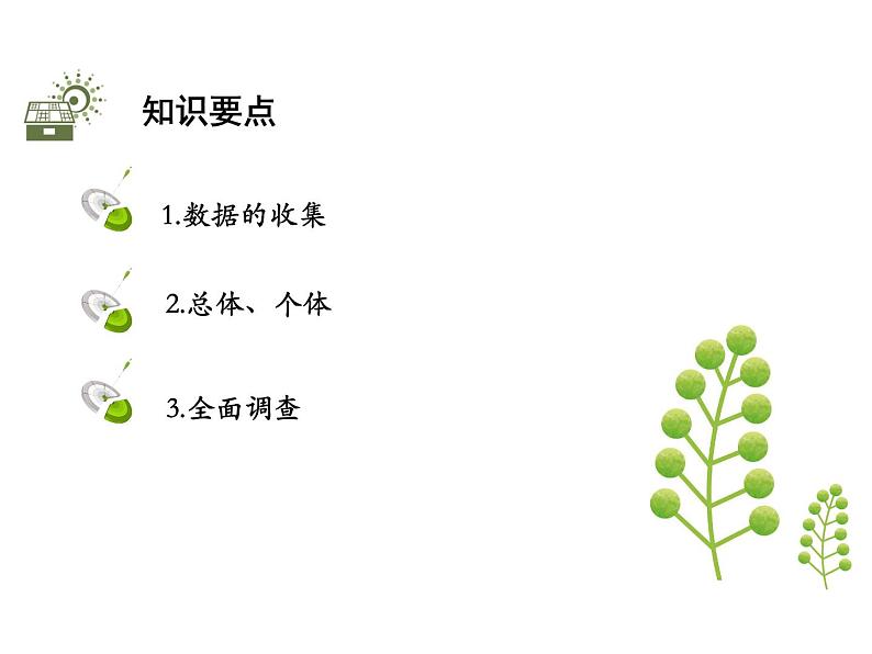 5.1数据的收集   沪科版七年级数学上册教学课件第2页