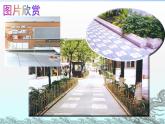 第二章數(shù)學活動圖形的密鋪 蘇科版數(shù)學九年級上冊 課件1