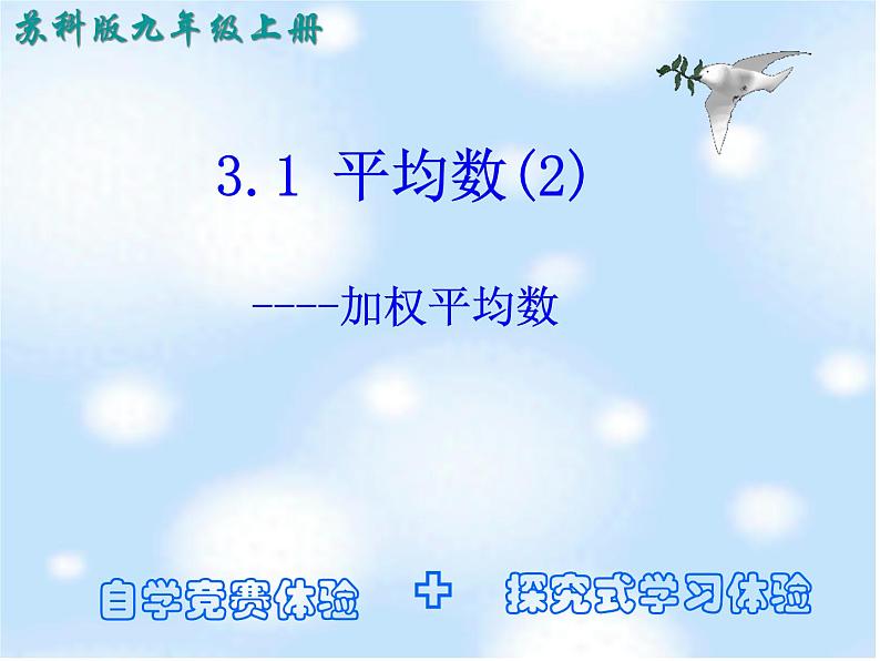 苏科版数学九年级上册 3.1平均数（2） 课件01