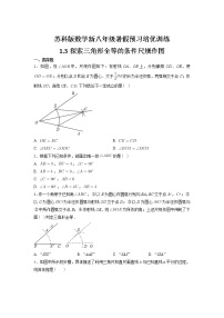 初中数学苏科版八年级上册1.3 探索三角形全等的条件练习题