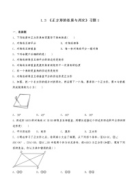 初中数学3 正方形的性质与判定课时练习