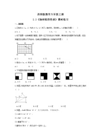 八年级上册2.2 轴对称的性质综合训练题