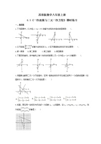 初中数学苏科版八年级上册6.5 一次函数与二元一次方程课时训练