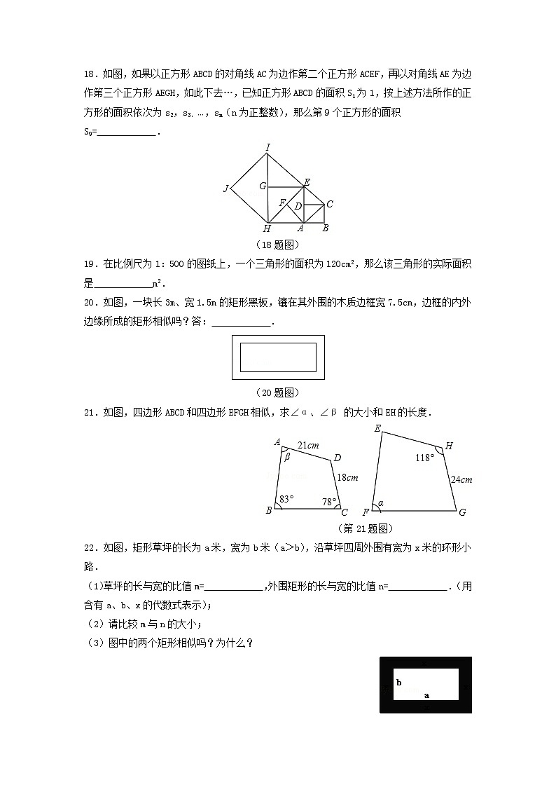 青岛版九年级数学上册1.1 相似多边形  同步练习附答案解析03