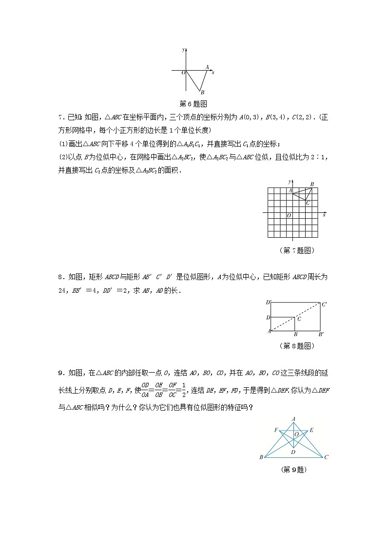 青岛版九年级数学上册1.4　图形的位似  同步练习附答案解析02