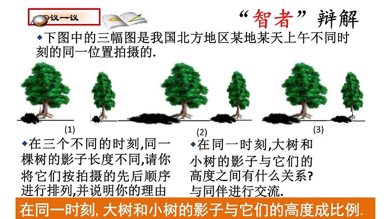 北师大版数学九年级上册 5.1 投影（二） 课件第4页