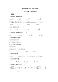 初中数学湘教版八年级上册3.3 实数达标测试