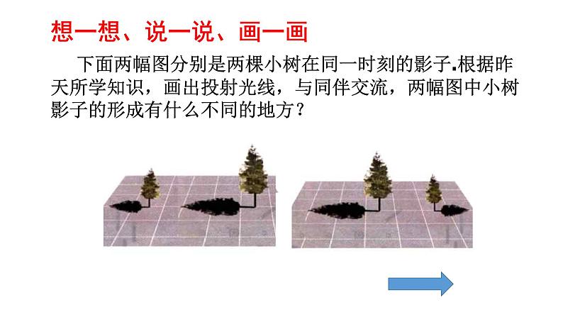 北师大版数学九年级上册 5.1投影 课件第2页