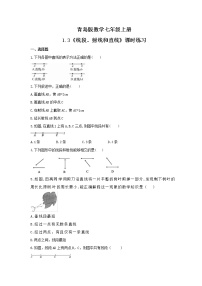 初中数学青岛版七年级上册1.3 线段、射线和直线综合训练题