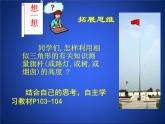 6_利用相似三角形测高_课件2(12p)