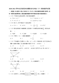 2020-2021学年江苏省常州市溧阳市七年级（下）期末数学试卷