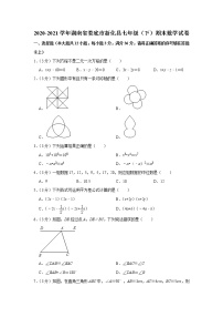 2020-2021学年湖南省娄底市新化县七年级（下）期末数学试卷