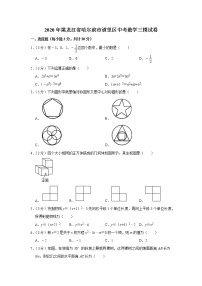 2020年黑龙江省哈尔滨市道里区中考数学三模试卷