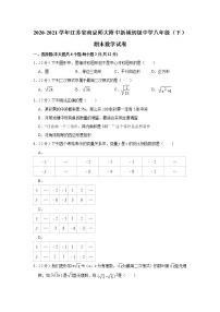 2020-2021学年江苏省南京师大附中新城初级中学八年级（下）期末数学试卷