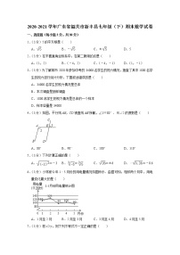 2020-2021学年广东省韶关市新丰县七年级（下）期末数学试卷