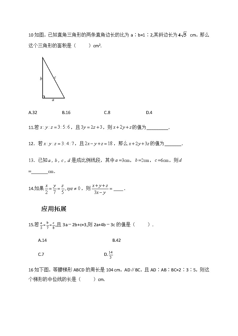 3.6比与比例-青岛版八年级数学上册练习02