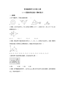 初中数学青岛版九年级上册1.4 图形的位似随堂练习题