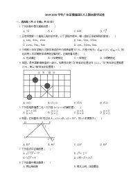 2019-2020学年广东深圳福田区八上期末数学试卷