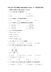 2020-2021学年安徽省合肥市高新区七年级（下）期末数学试卷