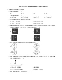 2018-2019学年广东省佛山市禅城区七下期末数学试卷