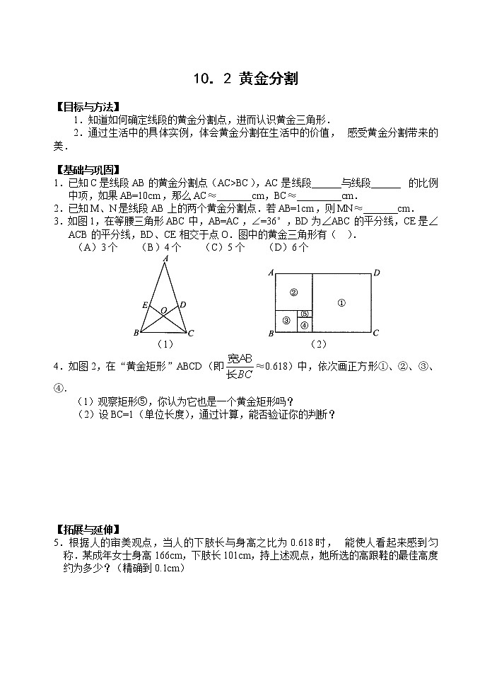 人教版八年级数学下册图形的相似  同步练习 10.2 黄金分割01