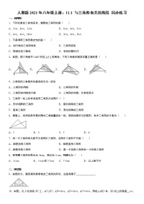 人教版八年级上册本节综合课后复习题