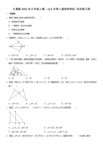 初中数学人教版八年级上册12.2 三角形全等的判定练习题