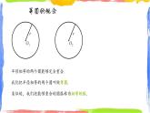 3.1.1 圆（1）——基本概念同步课件+练习