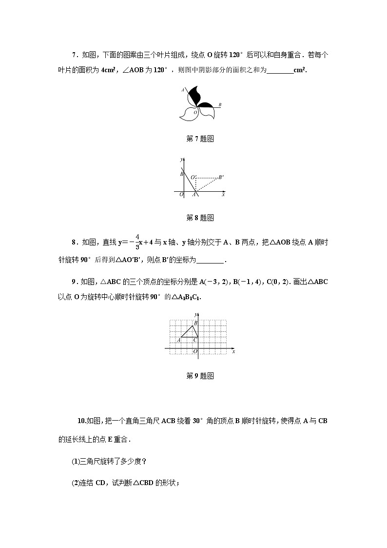 浙教版九年级数学上册作业本：3.2　图形的旋转第3页