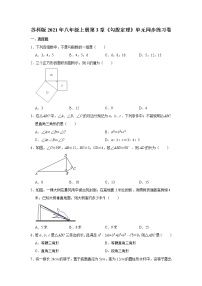 苏科版八年级上册第三章 勾股定理综合与测试当堂检测题