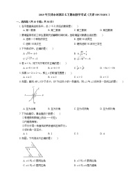 2019年天津市河西区七下期末数学考试练习题