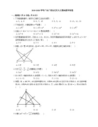 2019-2020学年广东广州白云区八上期末数学试卷