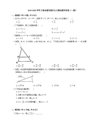 2019-2020学年上海市浦东新区九上期末数学试卷（一模）