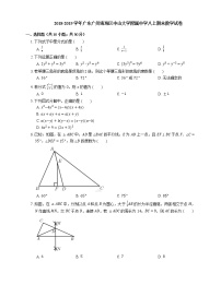 2018-2019学年广东广州海珠区中山大学附属中学八上期末数学试卷