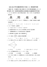 2020-2021学年安徽省蚌埠市八年级（上）期末数学试卷