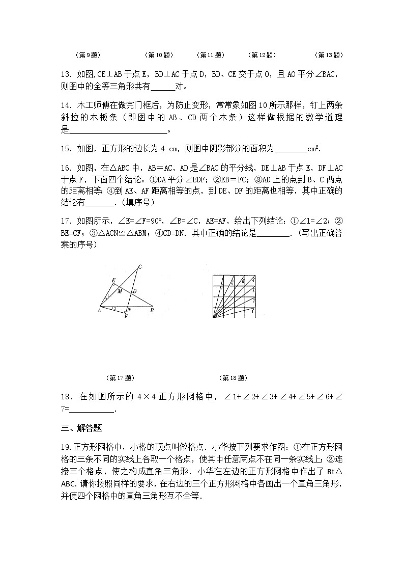 第1章全等三角形 单元复习二（提优卷）-苏科版八年级数学上册期末复习03
