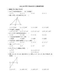 2018_2019学年广州市白云区八上期末数学试卷